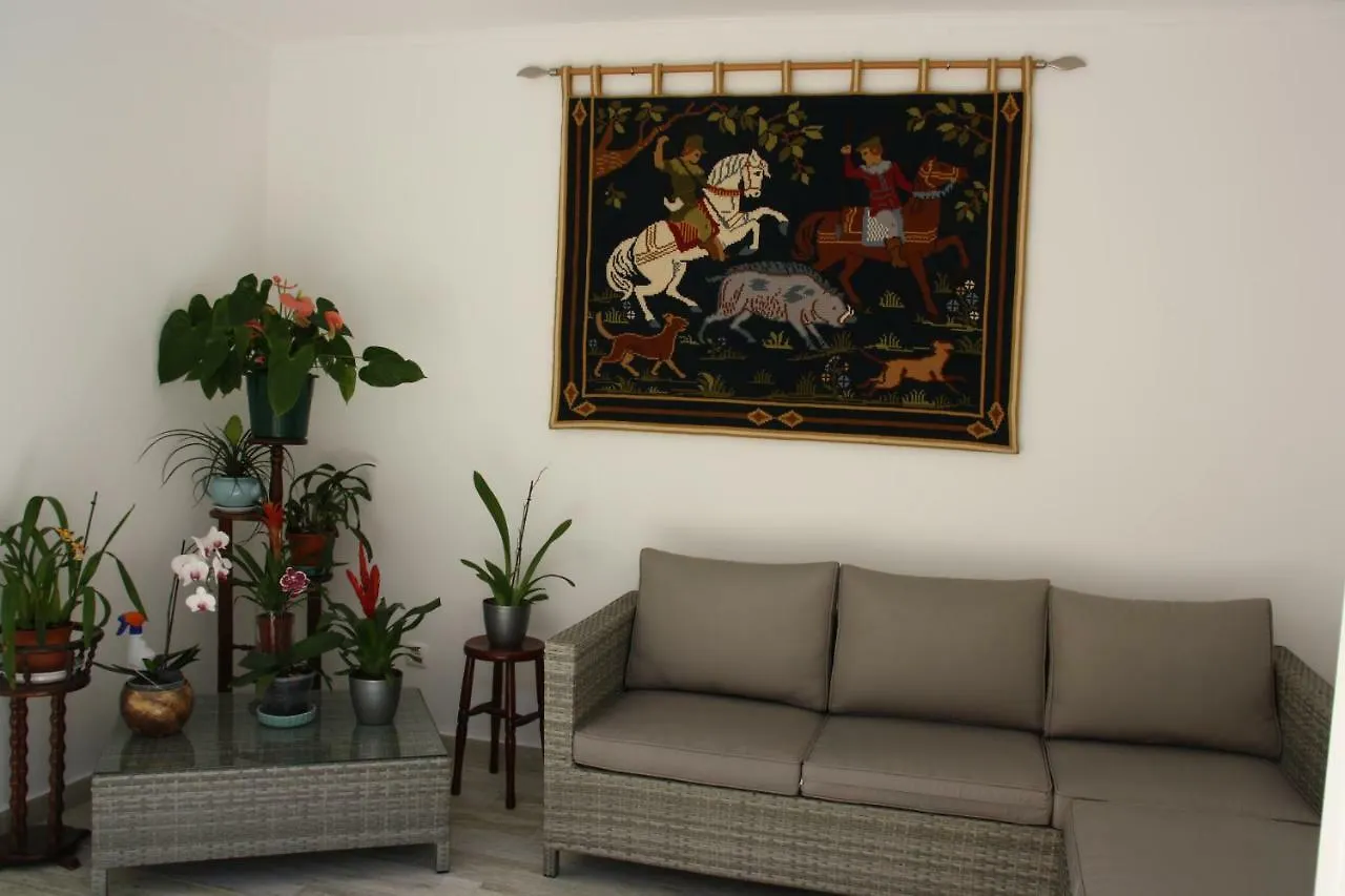 빌라레알데산토안토니오 House Of Orchids With Patio 아파트